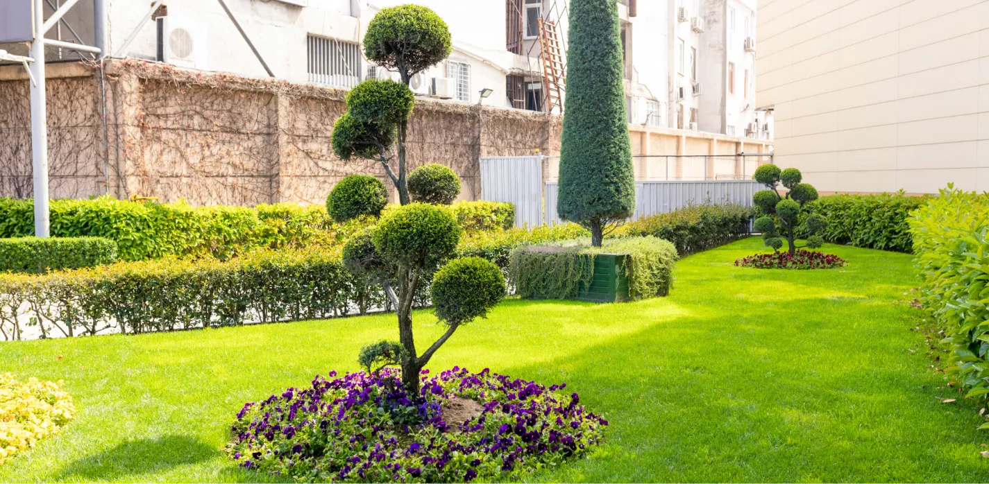 landscape design services (1)