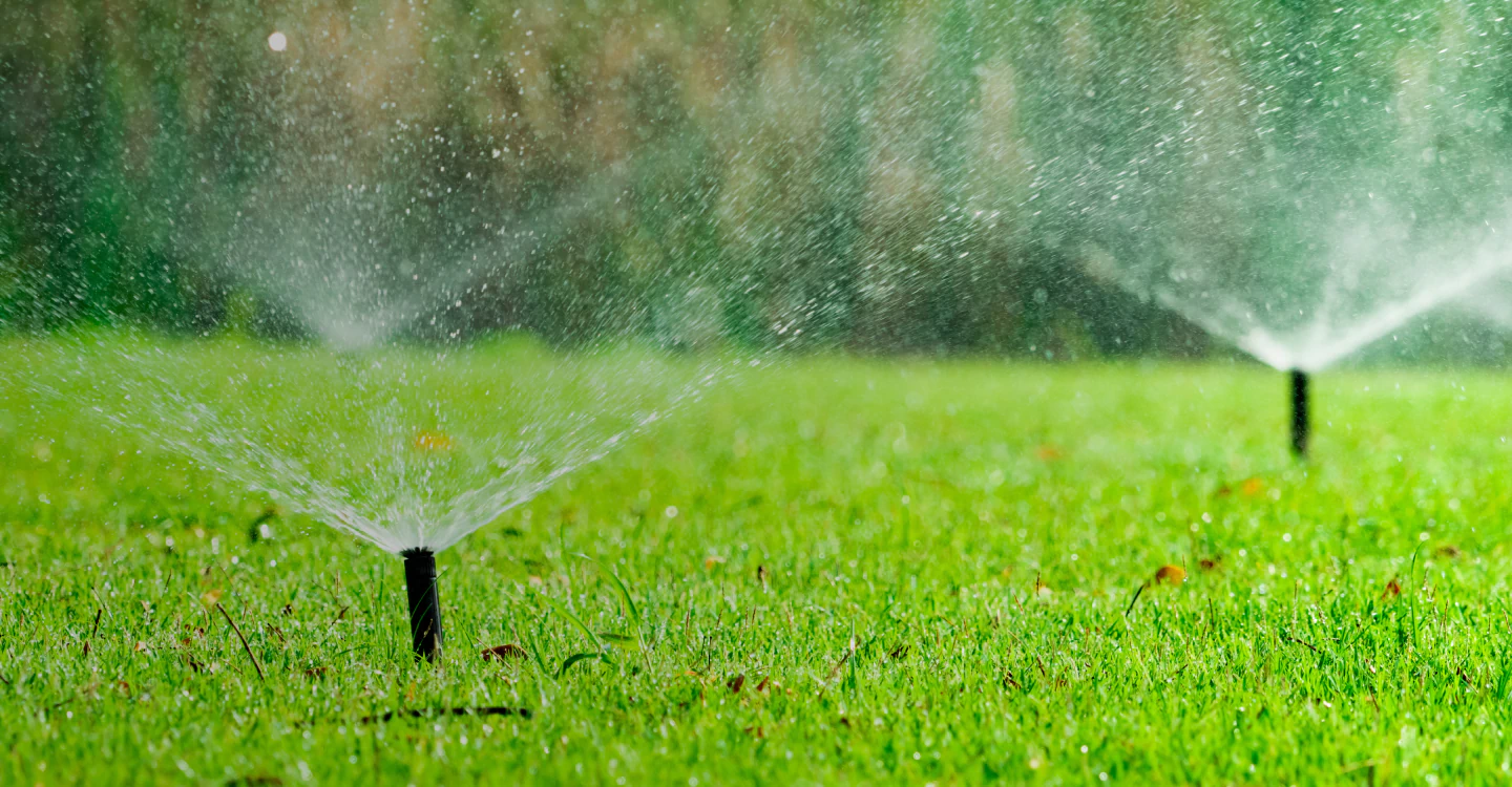 lawn sprinklers