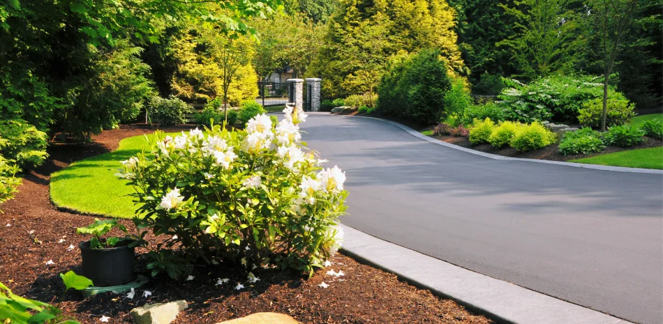 Landscaping